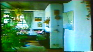 Aranyparti szexparty - Magyar szinkronos xxx film