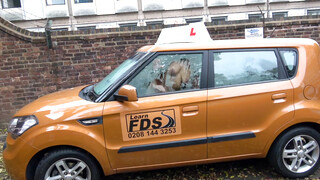 Fake Driving School - Emylia Argan a szőrös puncis oktató