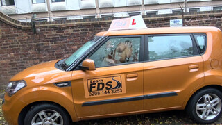 FakeTaxi - helyi bige pinájába élveznek