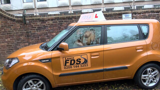Fake Driving School csöcsö piercinges gót kiscsaj popsiba kéri