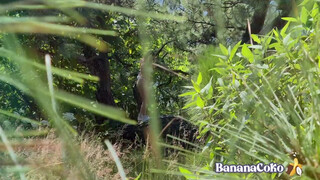 BananaCoko a szabadba kefél