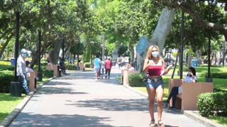 Fullos hatalmas kannás venezuelai spiné